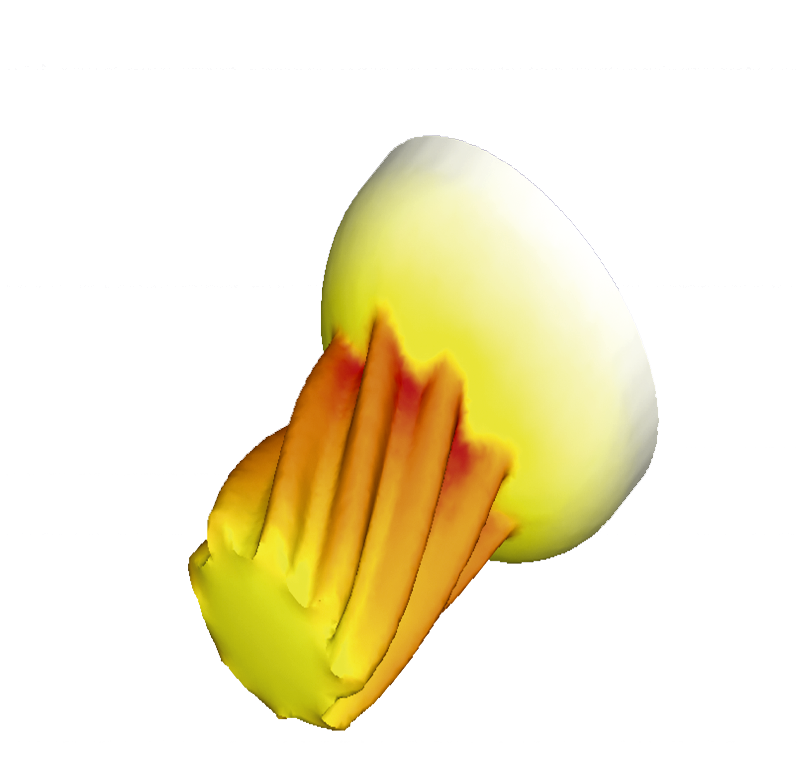 deform-f2